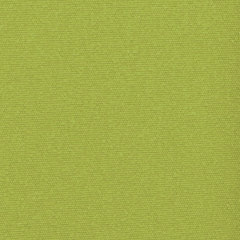 Coloris Vert Anis.jpg